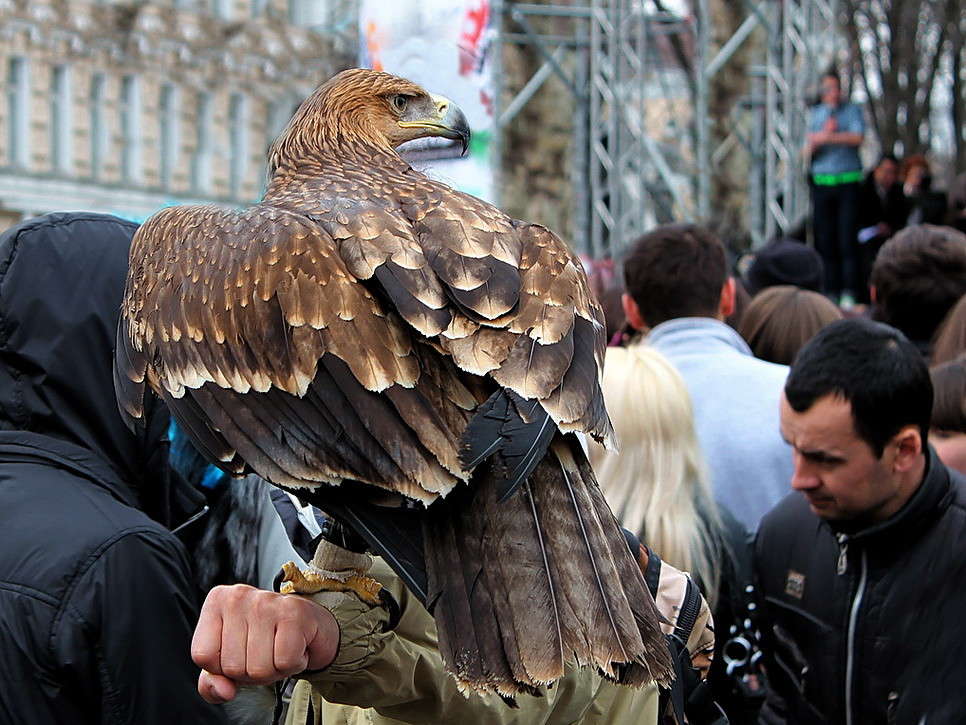 � ����� ����� ������ ���� �� PhotoGeek.ru #�������� ����������