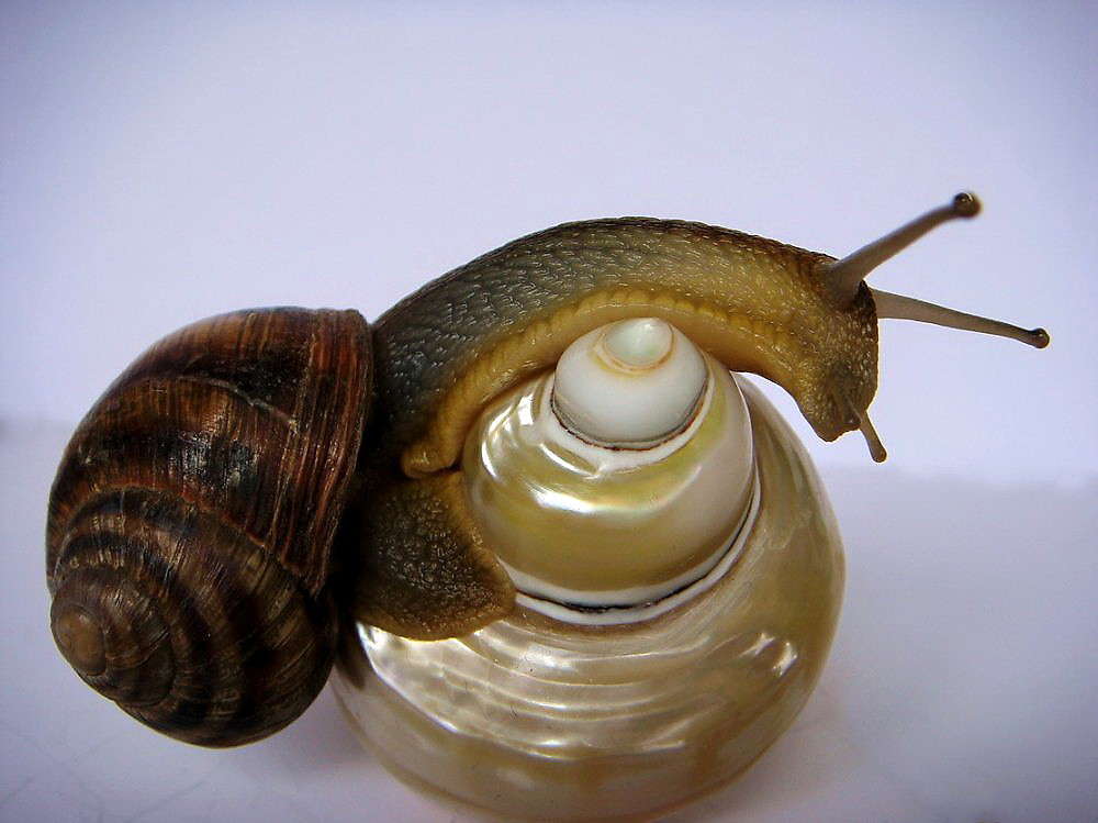 �� , � ������! ������ ����� ������ ���� �� PhotoGeek.ru #�������� ���