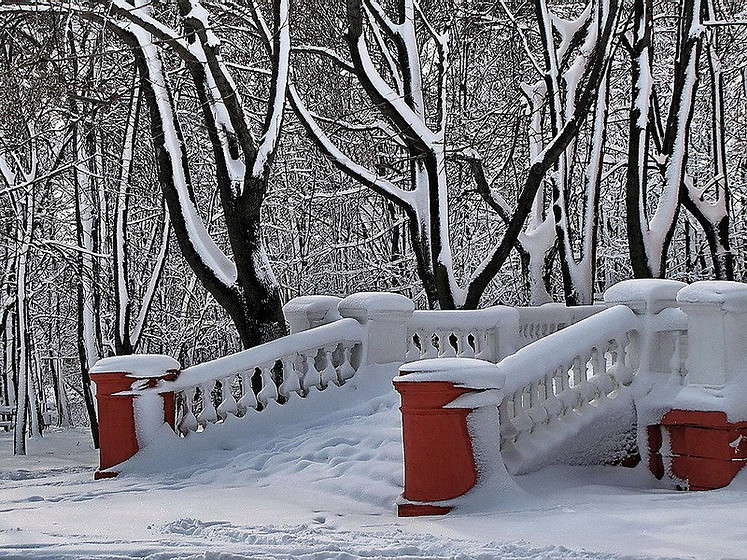 ������� ���� ����� ������ ���� �� PhotoGeek.ru #������ ��� �������