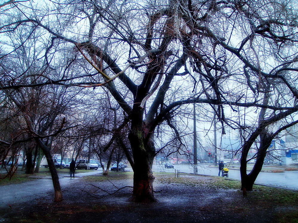 ��������� ����� ������ ���� �� PhotoGeek.ru #�����