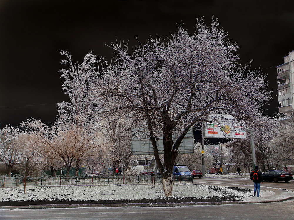 ���� ��������� ����� ����� ������ ���� �� PhotoGeek.ru #�����