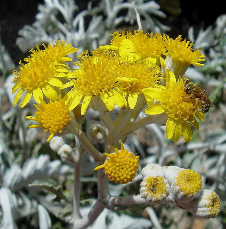 ***** ����� ������ ���� �� PhotoGeek.ru #������ ��� �������