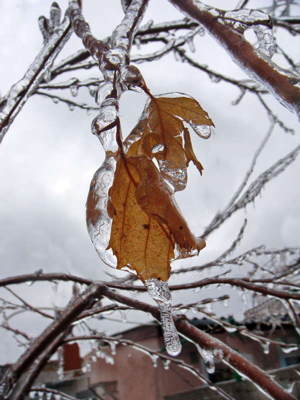 � ������� ����� ����� ������ ���� �� PhotoGeek.ru #������ ��� �������