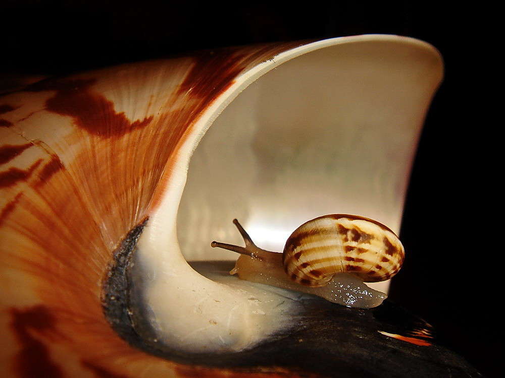 ��� ��� ���! ����� ������ ���� �� PhotoGeek.ru #�������� ���