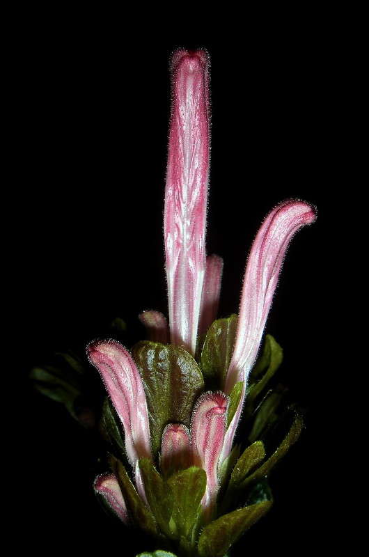 �������� ����� ������ ���� �� PhotoGeek.ru #������ ��� �������