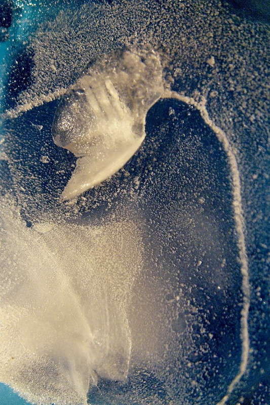 �������� ����� ����� ������ ���� �� PhotoGeek.ru #�����