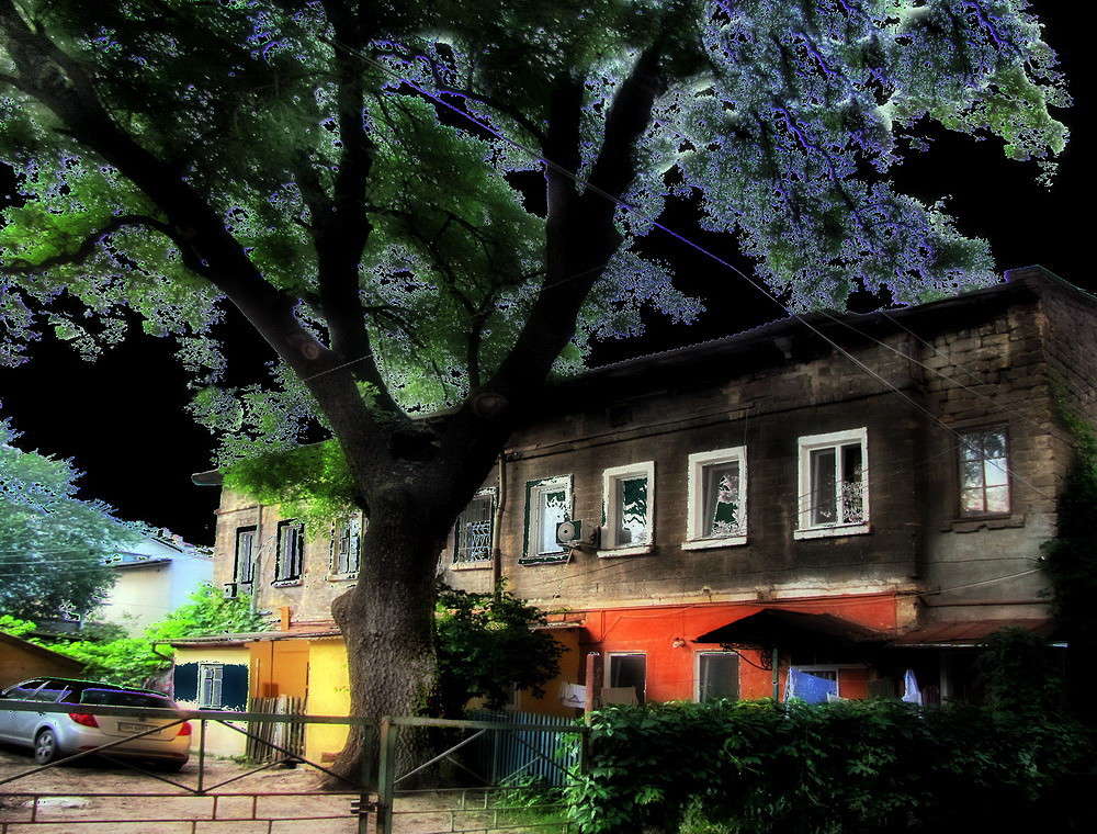 ��� � ������� � �������� ����� ������ ���� �� PhotoGeek.ru #�����