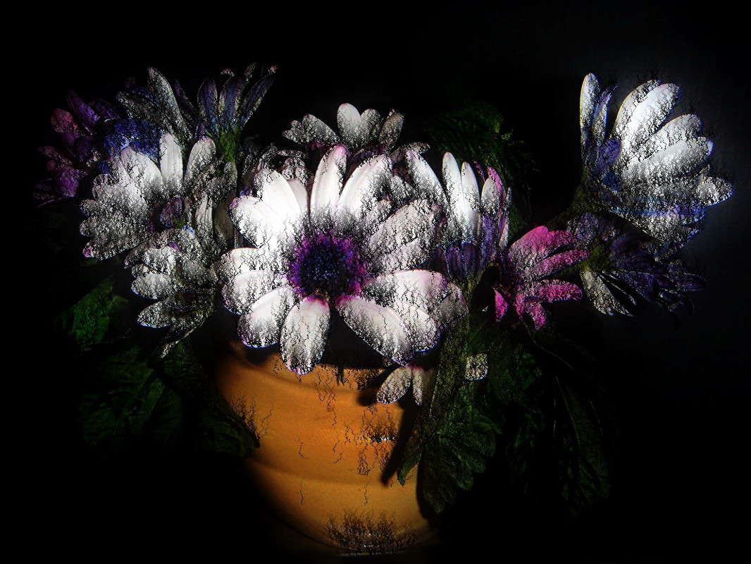 ����������� ������� ����� ������ ���� �� PhotoGeek.ru #���������