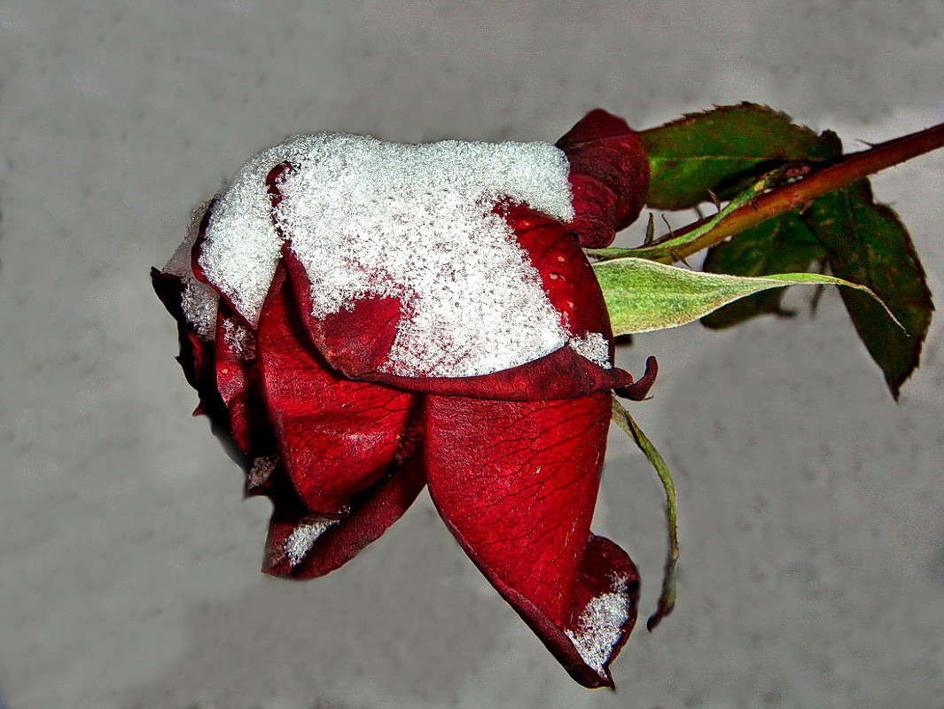 ***** ����� ������ ���� �� PhotoGeek.ru #������ ��� �������