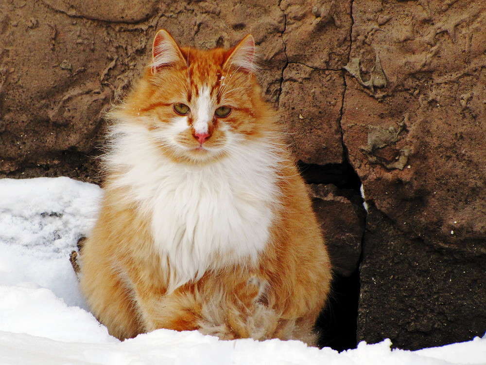 ����� ����� � ����... ����� ������ ���� �� PhotoGeek.ru #�������� ���