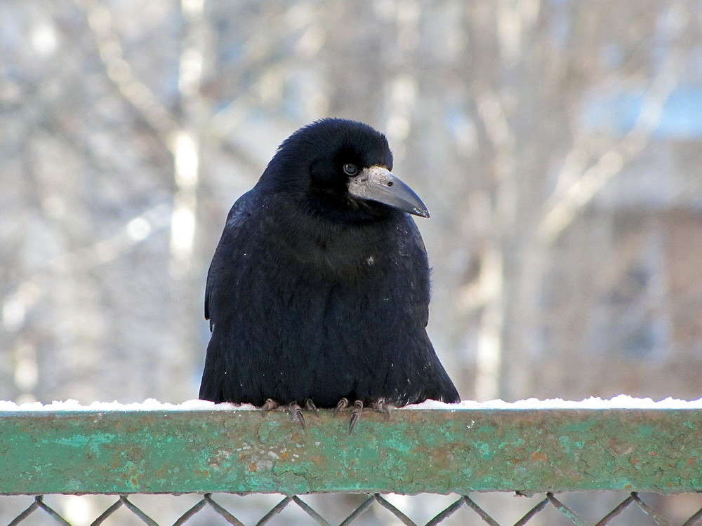 ������� , ����! ����� ������ ���� �� PhotoGeek.ru #�������� ���