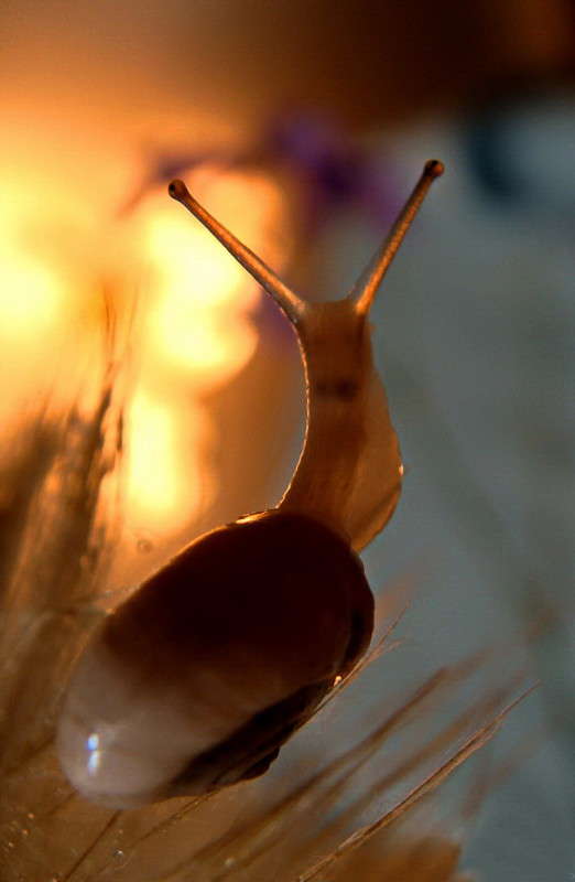 ���������� ������! ����� ������ ���� �� PhotoGeek.ru #�����