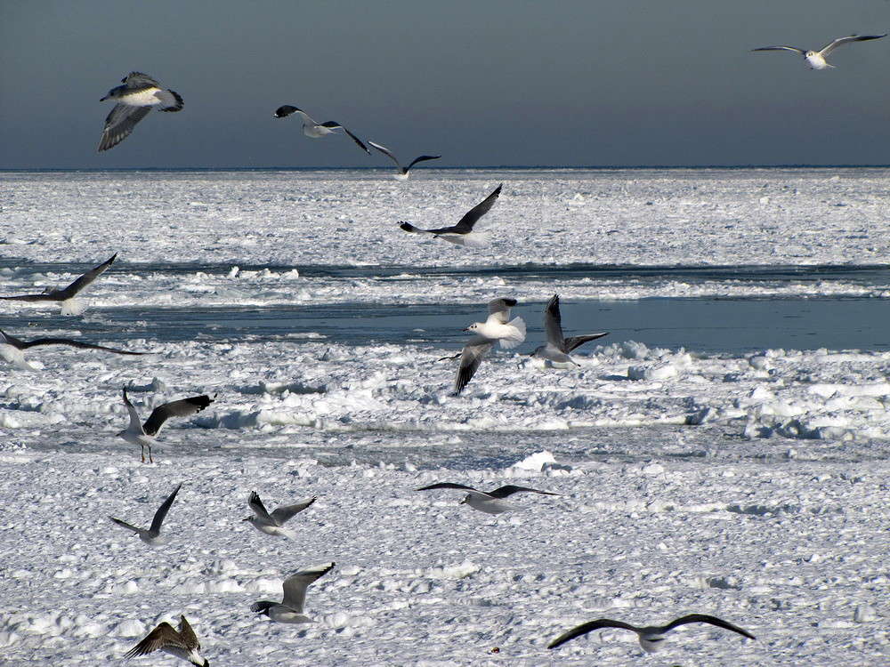 �� ����-���� , � ������� ����... ����� ������ ���� �� PhotoGeek.ru #������ ��� �������