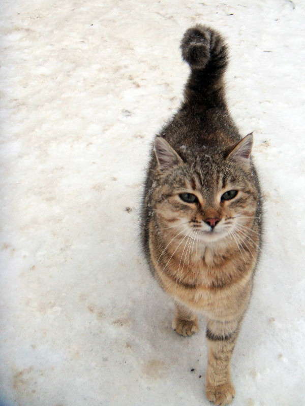 ����� "������" � �� �������� ����� ������ ���� �� PhotoGeek.ru #�������� ���