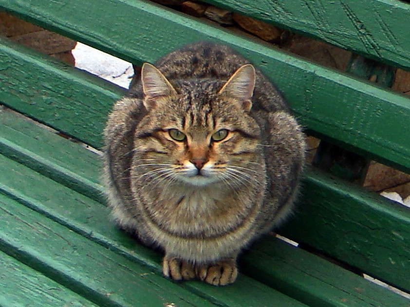 ������ �������� ��������� ����� ������ ���� �� PhotoGeek.ru #�������� ���