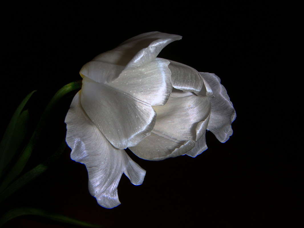 ������ ������ ����� ������ ���� �� PhotoGeek.ru #���������