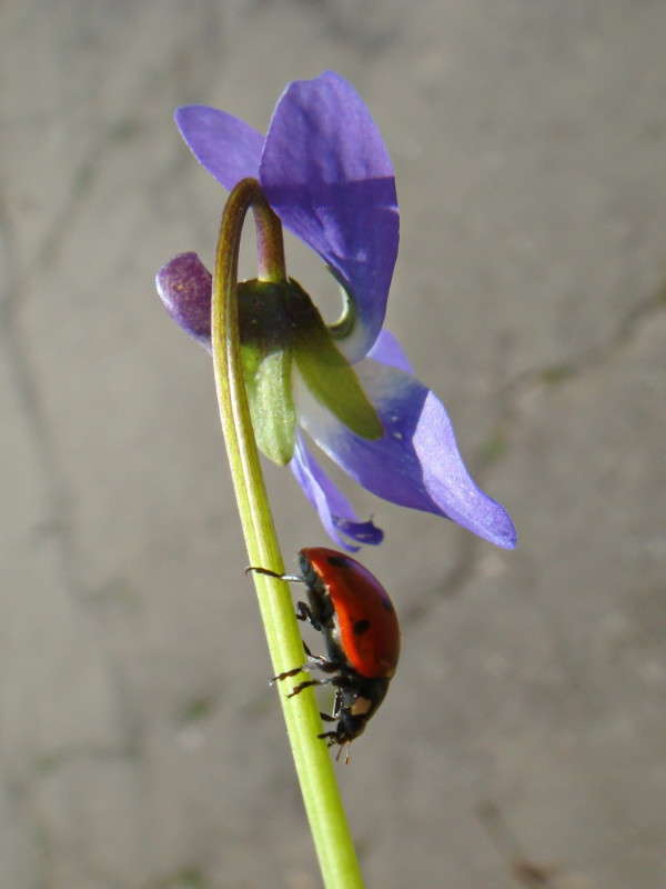 ������ ������ ����� ������ ���� �� PhotoGeek.ru #�����