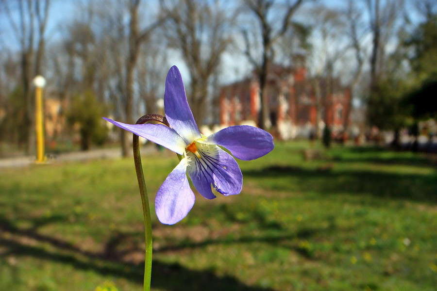 ����� ����� ������ ���� �� PhotoGeek.ru #������ ��� �������