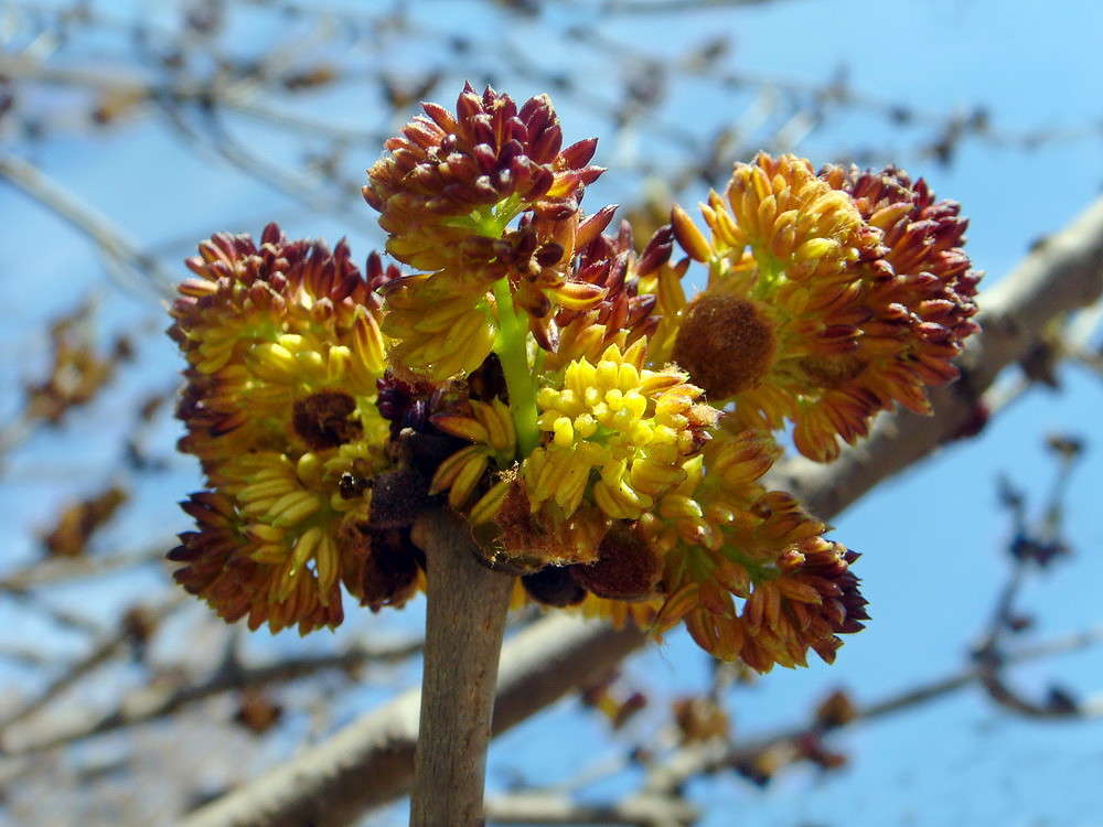 ��������� ����� ����� ������ ���� �� PhotoGeek.ru #������ ��� �������