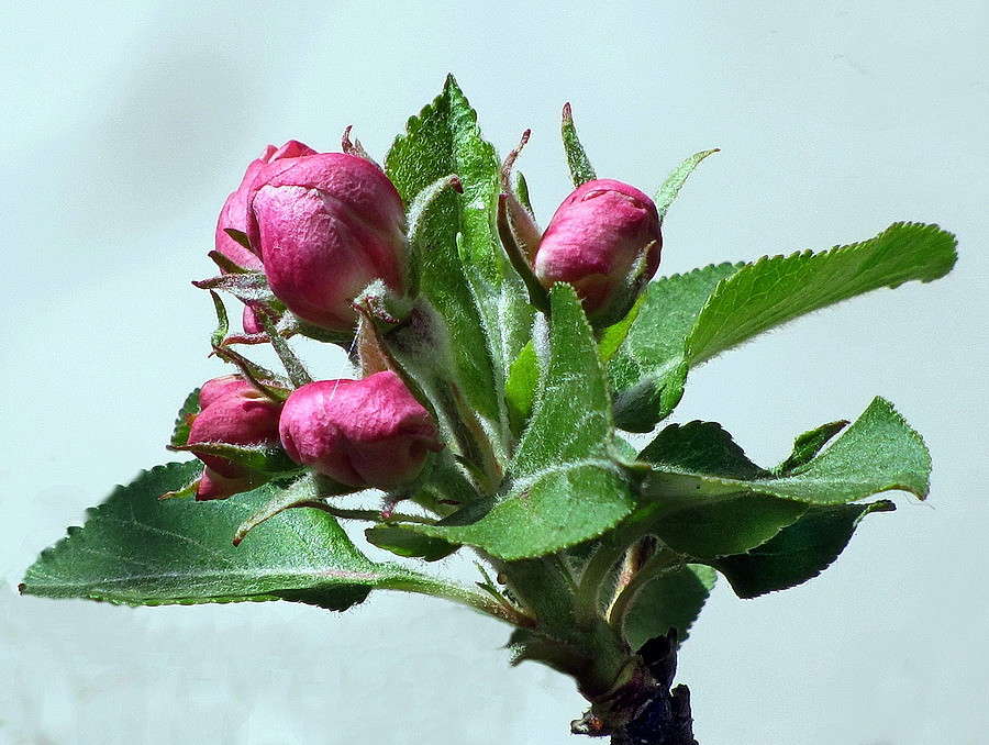 ����� �������� ����� ������ ���� �� PhotoGeek.ru #������ ��� �������