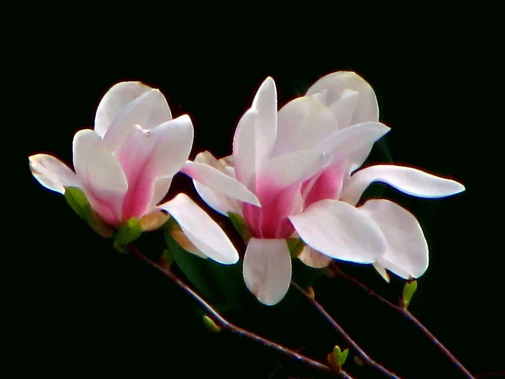 ������ �������� ����� ������ ���� �� PhotoGeek.ru #������ ��� �������