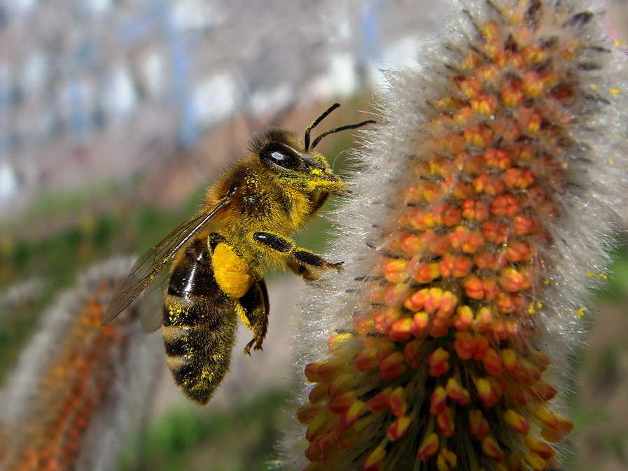 ���� �������� ���� ����� ������ ���� �� PhotoGeek.ru #�����