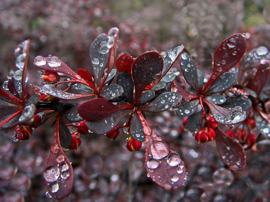 ������� ����� ����� ������ ���� �� PhotoGeek.ru #������ ��� �������