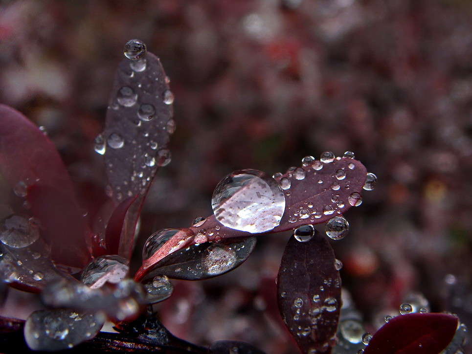 ����� ����� ����� ������ ���� �� PhotoGeek.ru #�����