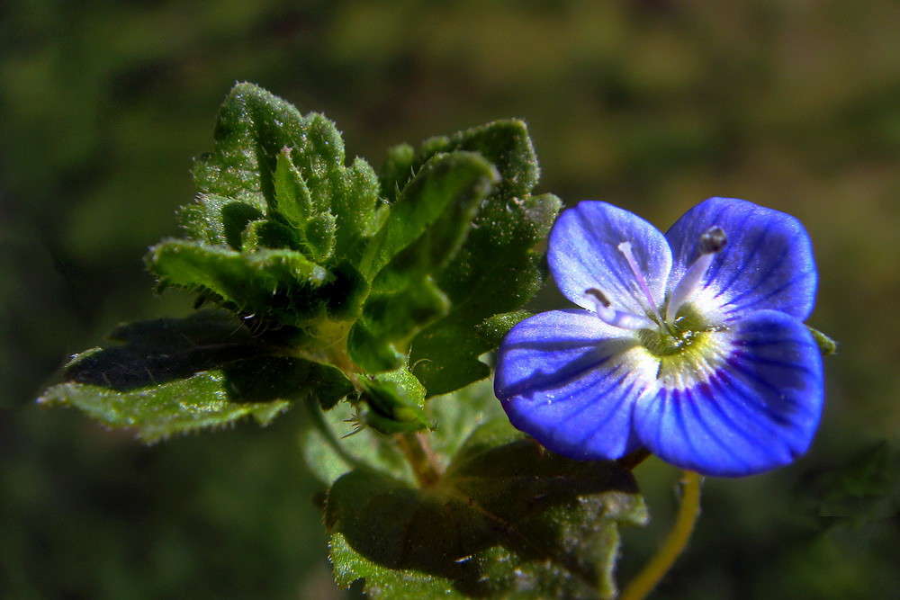 �������� ����� ������ ���� �� PhotoGeek.ru #�����