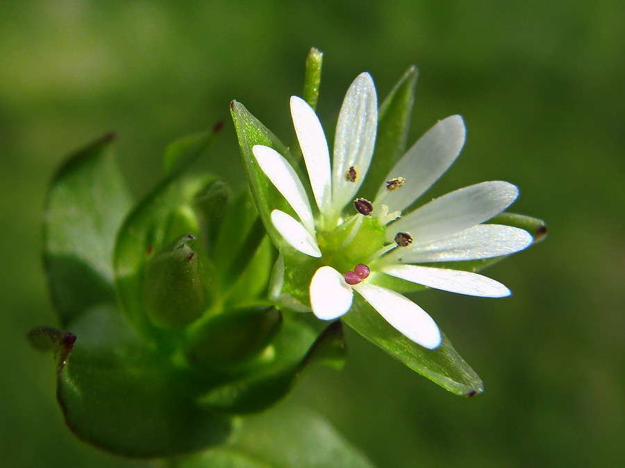 ����� ����� ������ ���� �� PhotoGeek.ru #�����