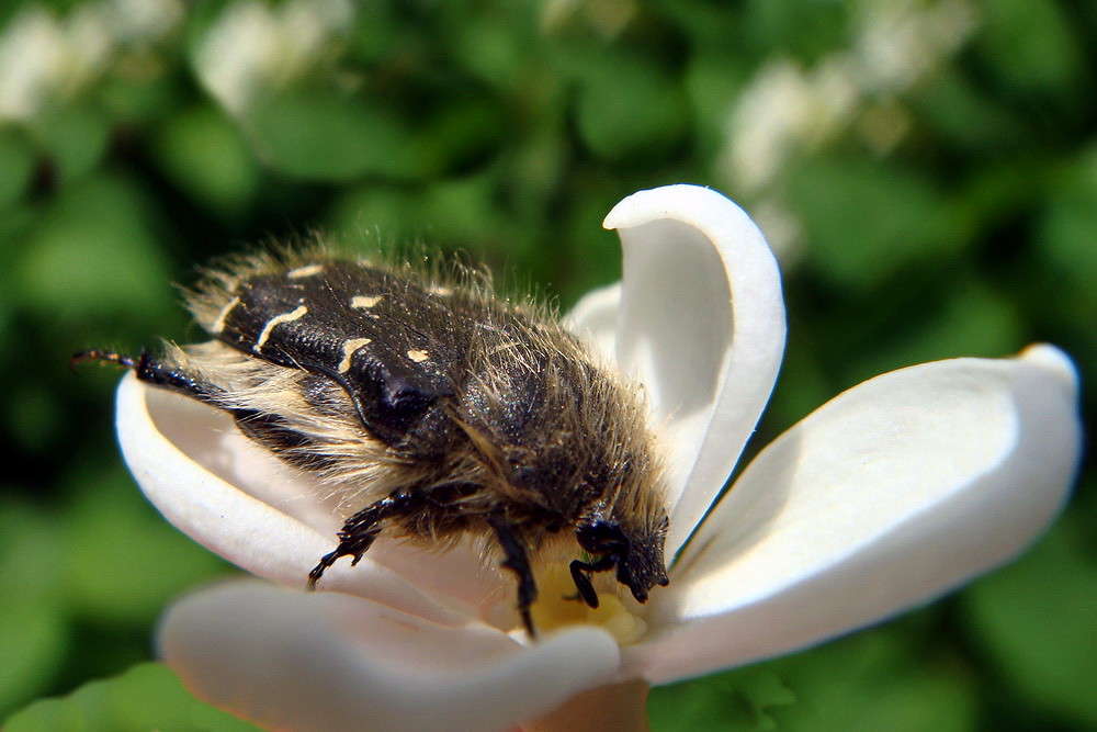 ������� ��� ����� ������ ���� �� PhotoGeek.ru #�����