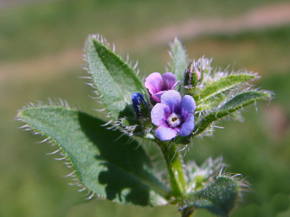 ����� ����� ������ ���� �� PhotoGeek.ru #�����