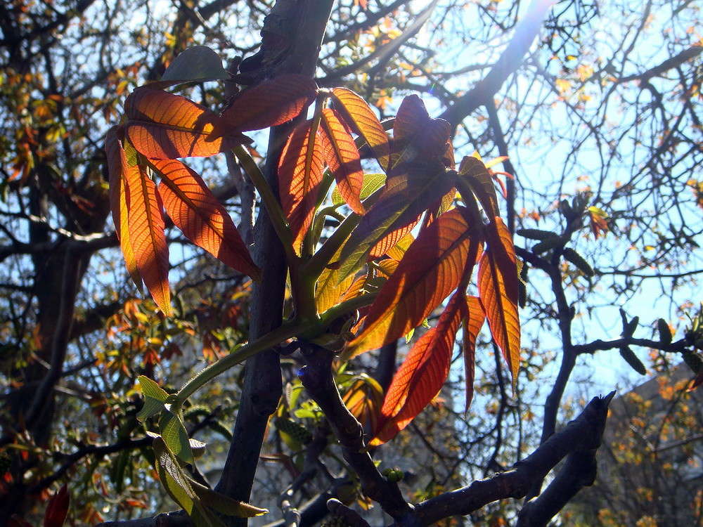 ������� �������� ����� ������ ���� �� PhotoGeek.ru #������ ��� �������