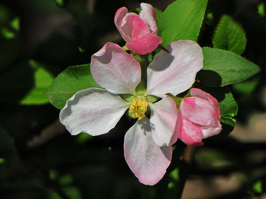 ���� ������ ����� ������ ���� �� PhotoGeek.ru #�����