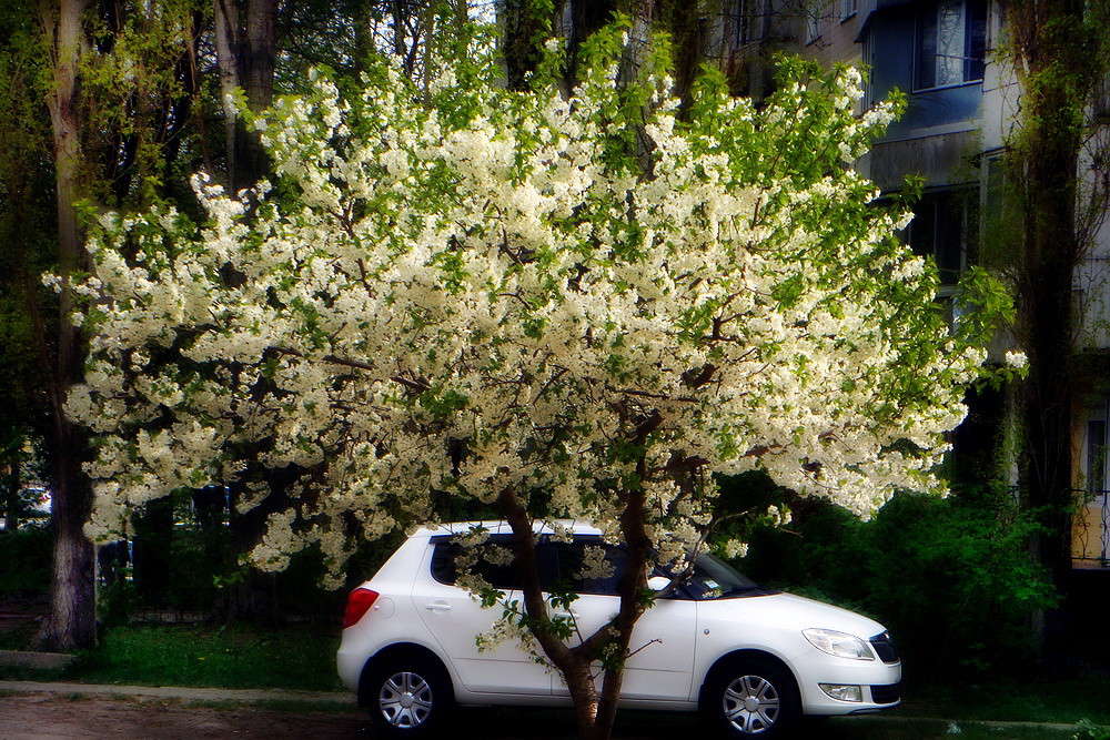 ������� ������ ����� ������ ���� �� PhotoGeek.ru #�������� ����������