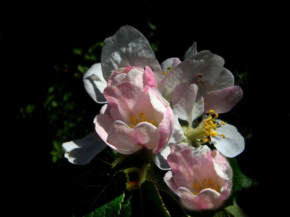 � ����� ����� ������ ���� �� PhotoGeek.ru #������ ��� �������