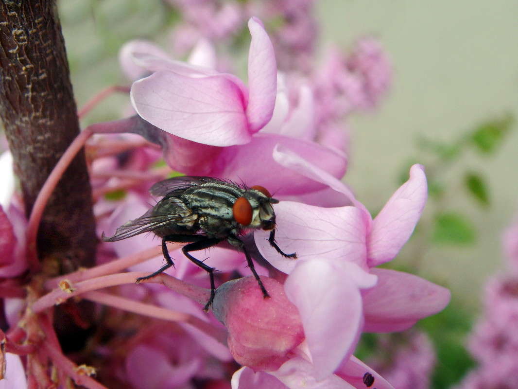 ���� ����� ������ ���� �� PhotoGeek.ru #�����