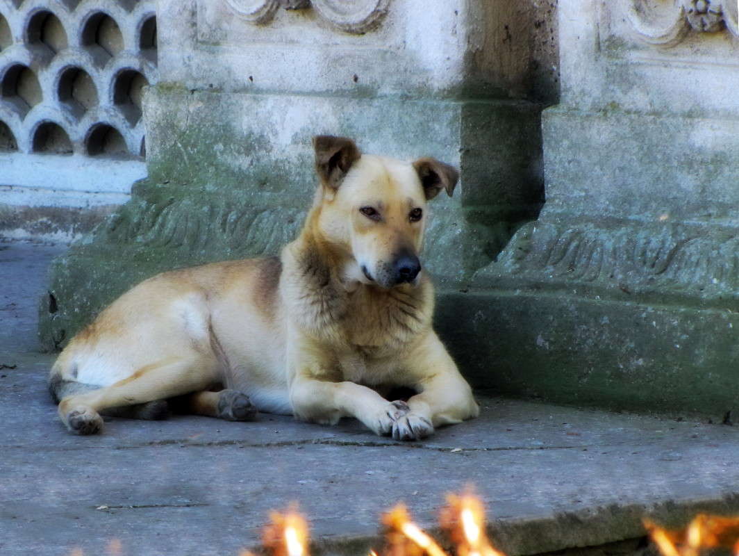 ������ ����� ������ ���� �� PhotoGeek.ru #�������� ���