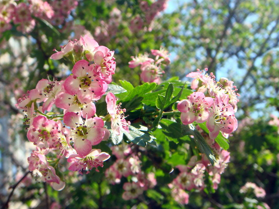 ��������� � ����� ����� ������ ���� �� PhotoGeek.ru #������ ��� �������