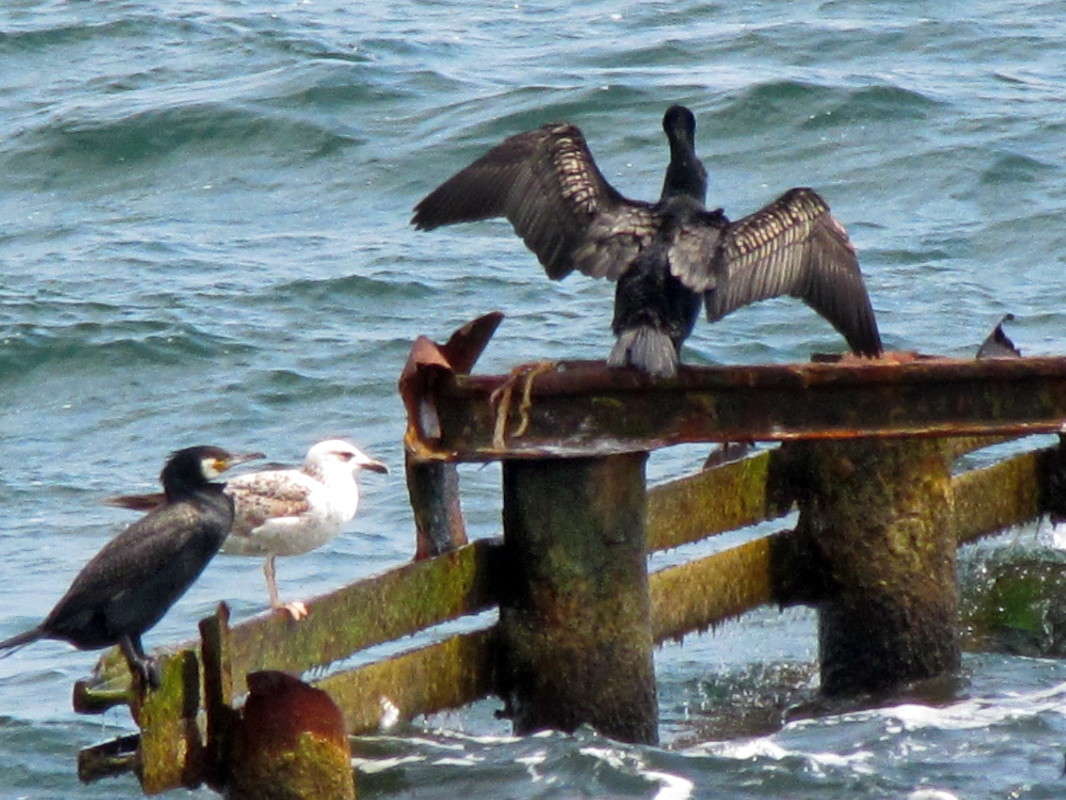 ������� � ����� ����� ������ ���� �� PhotoGeek.ru #�������� ���