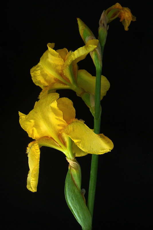 ������ ���� ����� ������ ���� �� PhotoGeek.ru #������ ��� �������