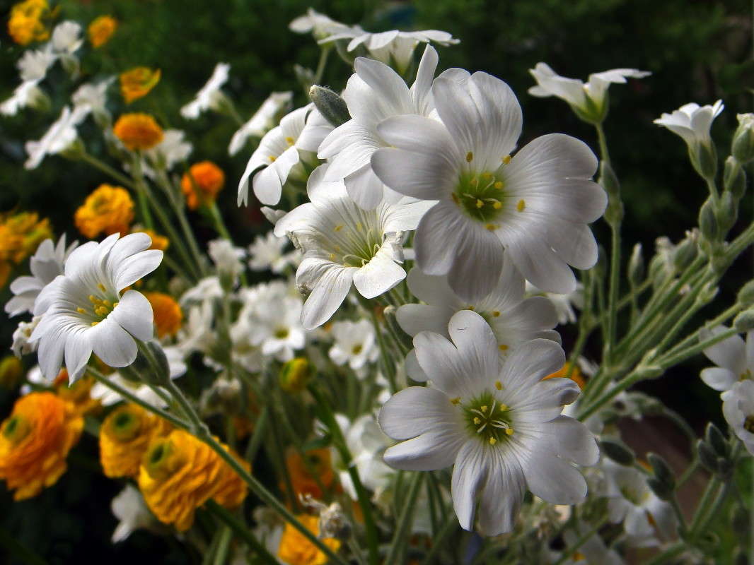 ������ ������� ����� ������ ���� �� PhotoGeek.ru #������ ��� �������