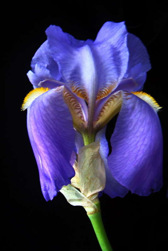 ���� ����� ������ ���� �� PhotoGeek.ru #������ ��� �������