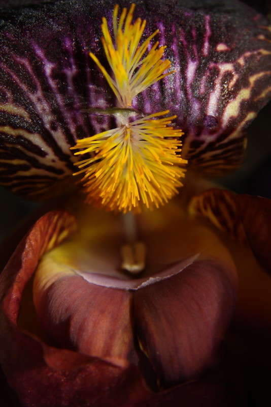 ��������� ������� ����� ������ ���� �� PhotoGeek.ru #�����