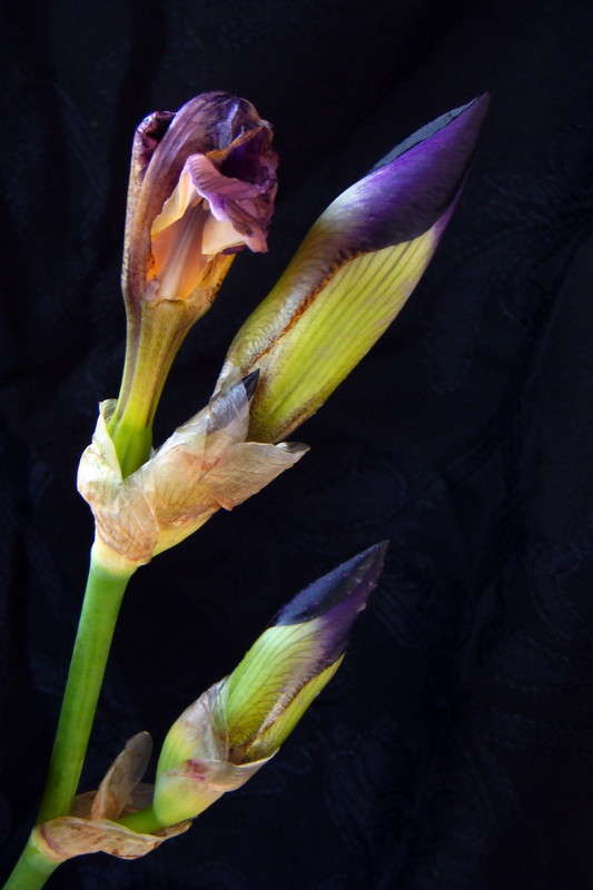 ������ � ����� ����� ������ ���� �� PhotoGeek.ru #������ ��� �������