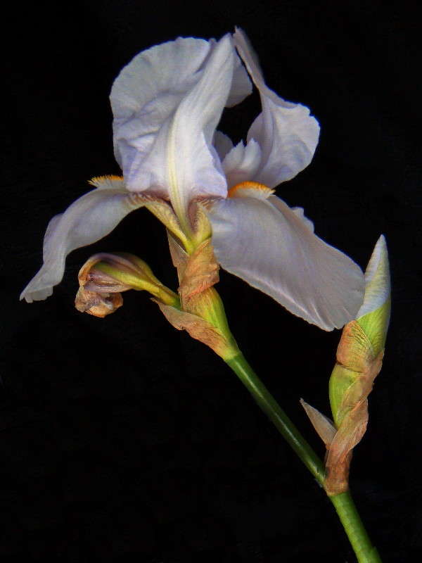 ����(���� �� ���������) ����� ������ ���� �� PhotoGeek.ru #������ ��� �������