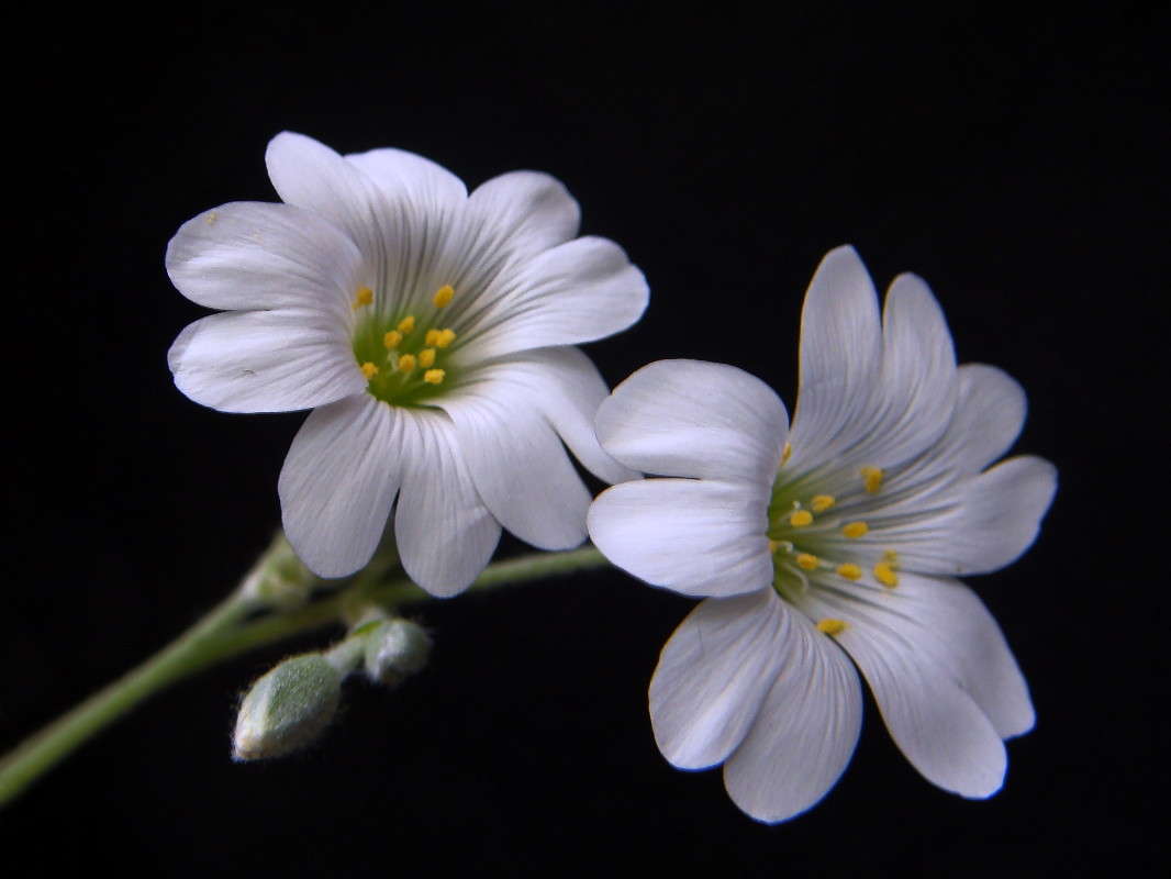 ������� ����� ������ ���� �� PhotoGeek.ru #������ ��� �������