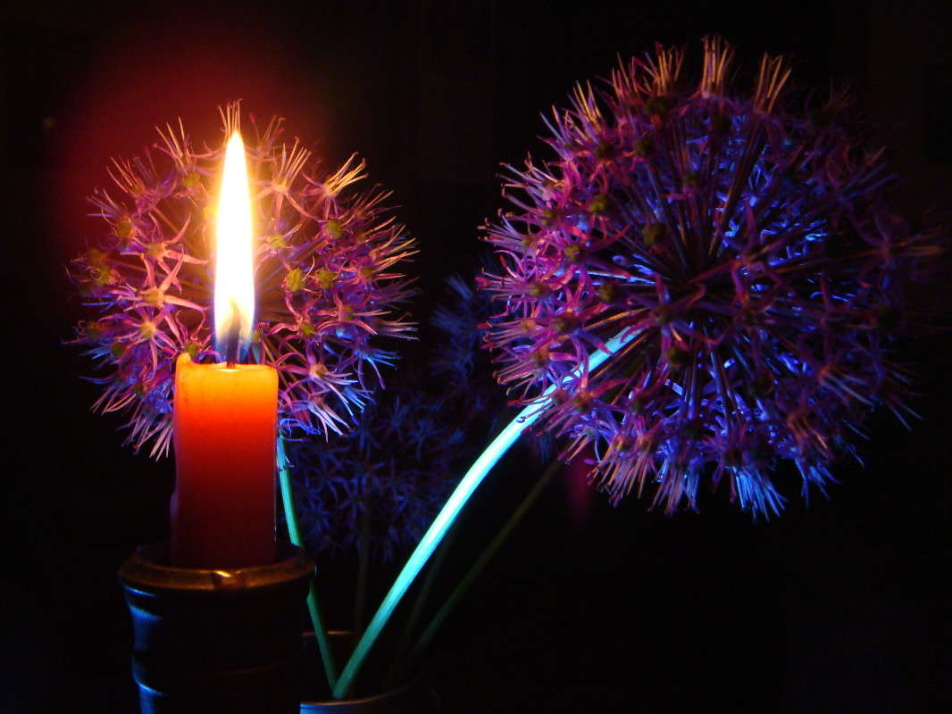 ������ ���� �������� ����� ������ ���� �� PhotoGeek.ru #���������