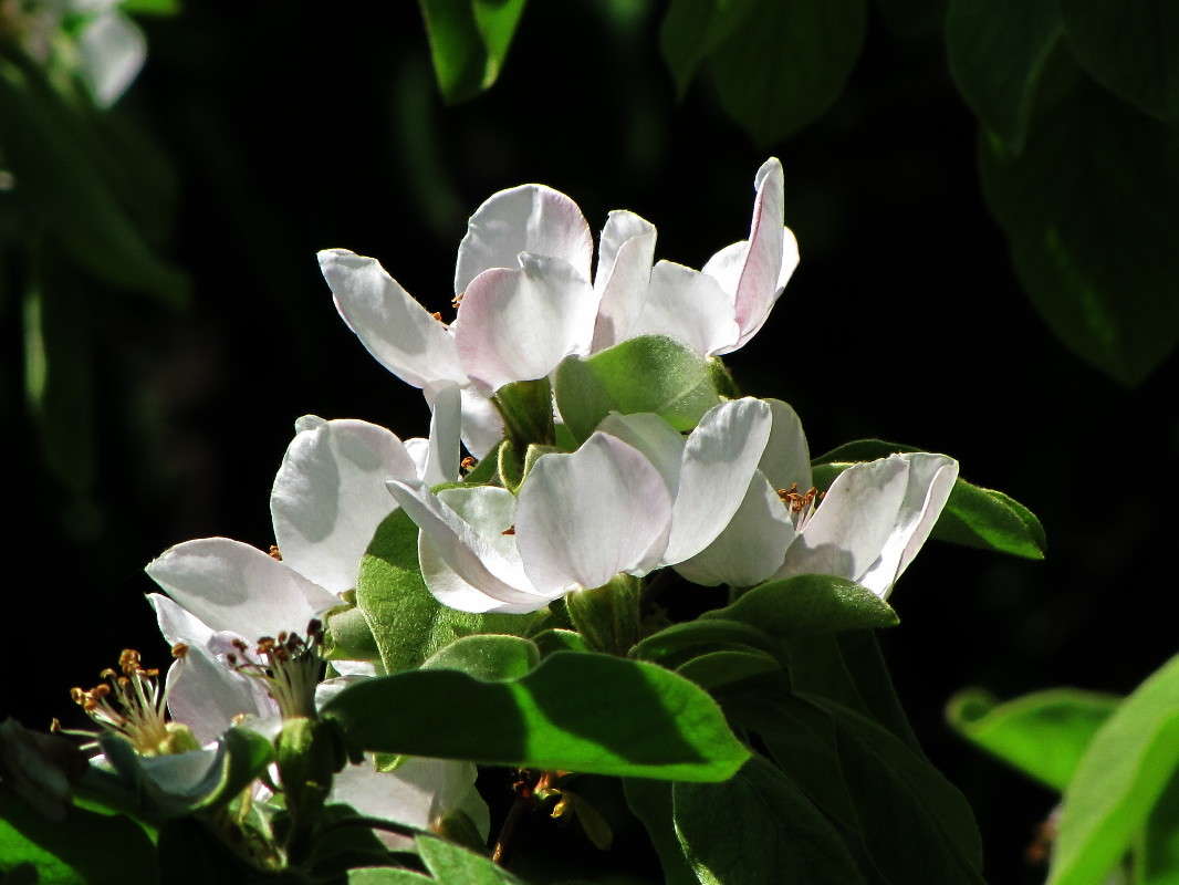 ���� ������ ����� ������ ���� �� PhotoGeek.ru #������ ��� �������