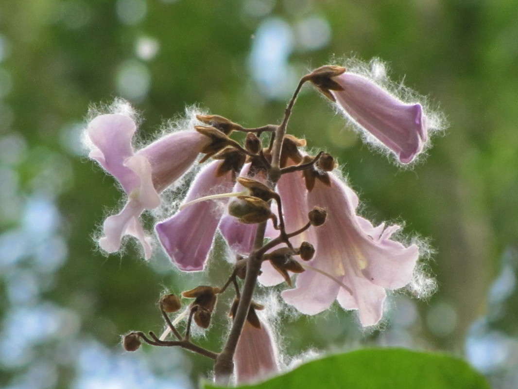 ��������� ��� ����� ������ ���� �� PhotoGeek.ru #������ ��� �������